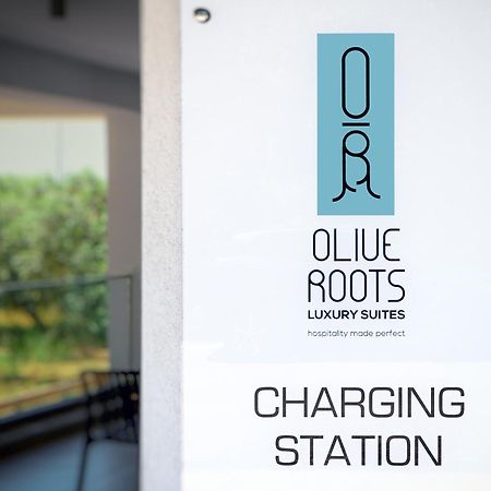 Olive Roots Ξενοδοχείο Σκάλα Ραχωνίου Εξωτερικό φωτογραφία