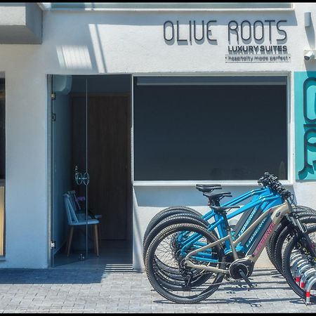 Olive Roots Ξενοδοχείο Σκάλα Ραχωνίου Εξωτερικό φωτογραφία