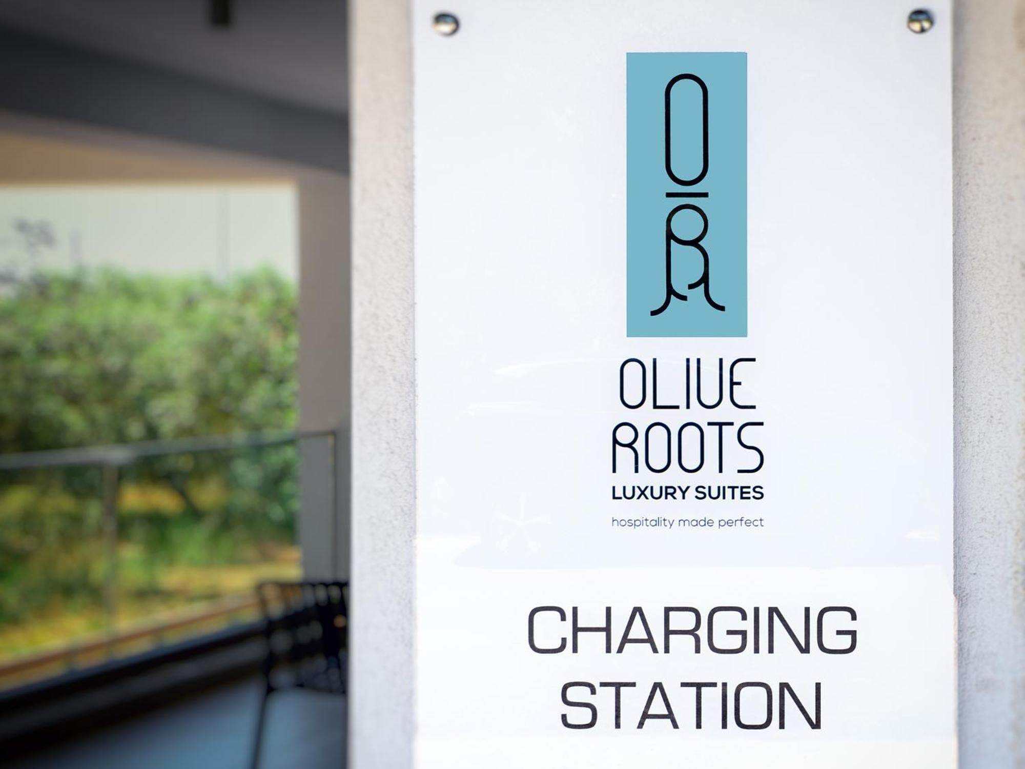 Olive Roots Ξενοδοχείο Σκάλα Ραχωνίου Εξωτερικό φωτογραφία